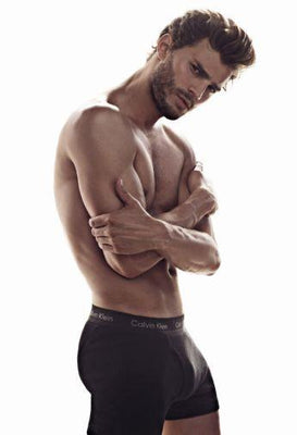 Jamie Dornan Metal Poster Wall Art 8in x 12in 12"x16" The Poster Depot