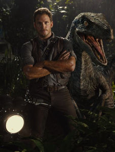 Jurassic World Movie Mini poster 11inx17in