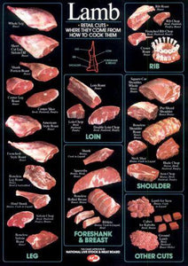 Lamb Cuts Cuts Of Meat Chart poster 24inx36in Poster 24x36 - Fame Collectibles
