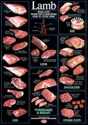 Lamb Cuts Cuts Of Meat Chart poster tin sign Wall Art