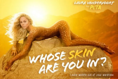 Laura Vandervoort poster 11inx17in The Poster Depot