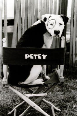 Little Rascals Petey poster 27inx40in The Poster Depot