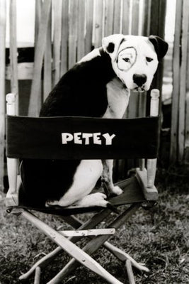 Little Rascals Petey Poster 16"x24" On Sale The Poster Depot