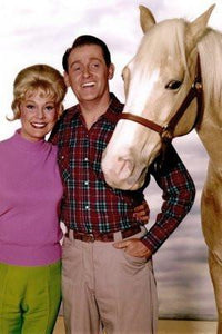 Mr. Ed poster tin sign Wall Art