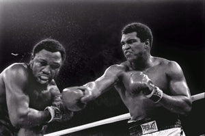 Frazier Vs. Ali Poster 16"x24" On Sale The Poster Depot