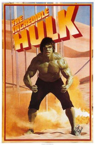 Incredible Hulk The Photo Sign 8in x 12in