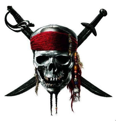 Pirates Caribbean On Stranger Tides Metal Print 8in x 12in
