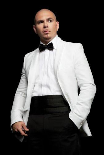 pitbull Metal Poster Wall Art 8in x 12in 12"x16" The Poster Depot