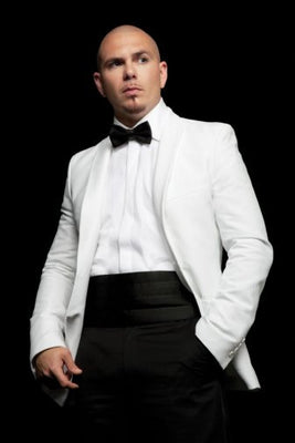 pitbull poster 11inx17in poster The Poster Depot