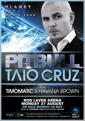 pitbull poster tin Metal Print Wall Art