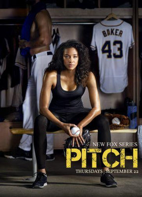 Pitch Metal Print 8in x 12in The Poster Depot