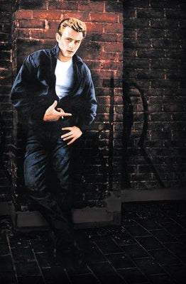 Rebel Without A Cause Metal Print 8in x 12in The Poster Depot