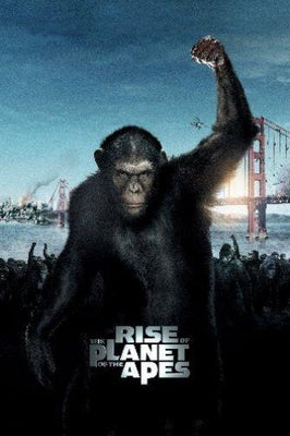 Rise Of The Apes Metal Print 8in x 12in