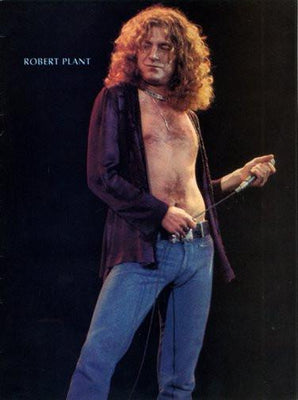 Robert Plant poster Metal Poster Print 8in x 12in 12"x16" The Poster Depot
