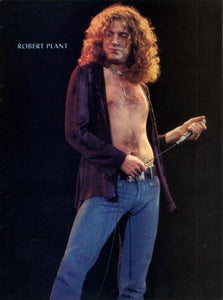 Robert Plant poster tin sign Wall Art