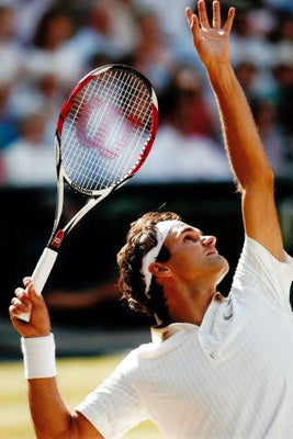 roger federer poster tin sign Wall Art