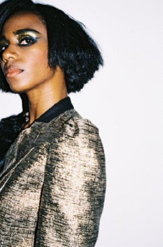 Santigold poster The Poster Depot