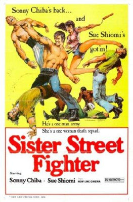 Sister Street Fighter Metal Movie Poster 8in x 12in