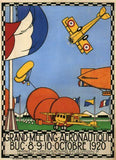 Vintage Planes Fly-In 1920 poster tin sign Wall Art
