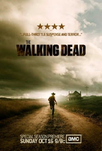 Walking Dead Mini poster 11inx17in