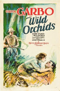 Wild Orchids Poster 11inx17in