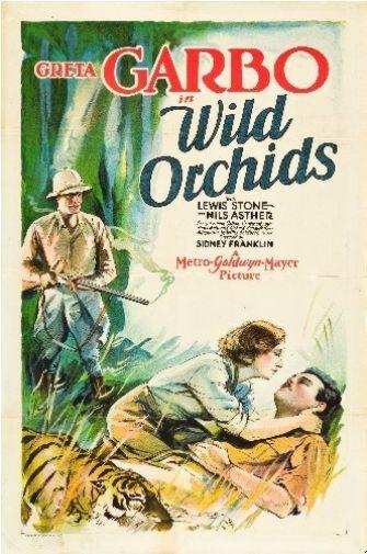 Wild Orchids Metal Print 8in x 12in The Poster Depot
