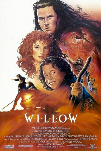 Willow Metal Print 8in x 12in