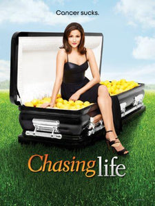 Chasing Life Photo Sign 8in x 12in