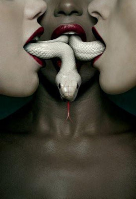 American Horror Story Poster 27inx40in Poster 27x40 The Poster Depot