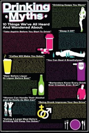 10 Drinking Myths College Humor 24x36 Poster