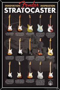 Fender Stratocaster Evolution Electric Guitar Chart 24x36 Poster